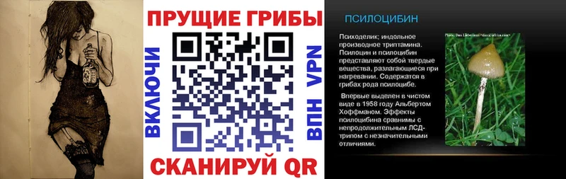 Галлюциногенные грибы мицелий  хочу   Кедровый 