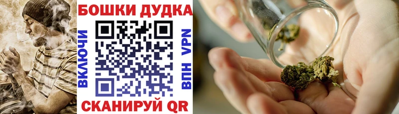 Каннабис сатива  наркота  OMG онион  Кедровый 